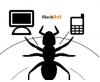 BlackAnt's Avatar